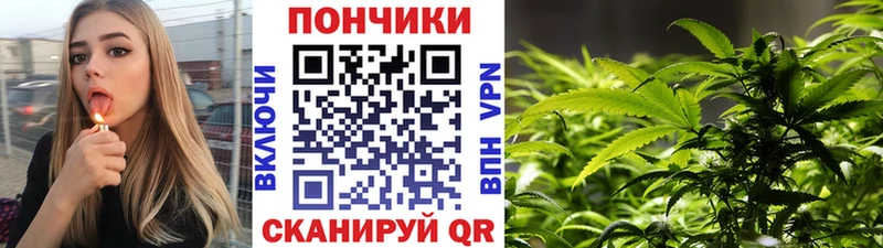 Купить  Боровичи  Марихуана OG Kush 